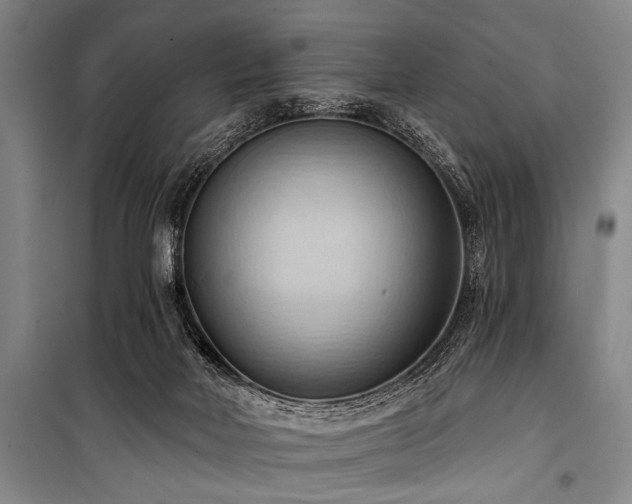 X0000101210026200806271426