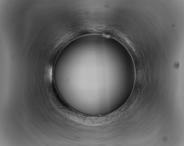 X0000101210027200806271426