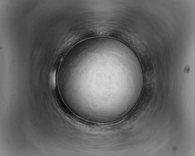 X0000101210028200806271426