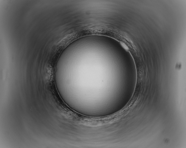 X0000101210029200806271426