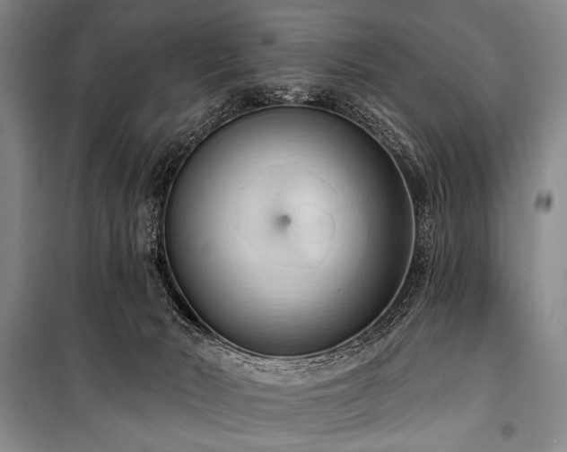 X0000101210030200806271426