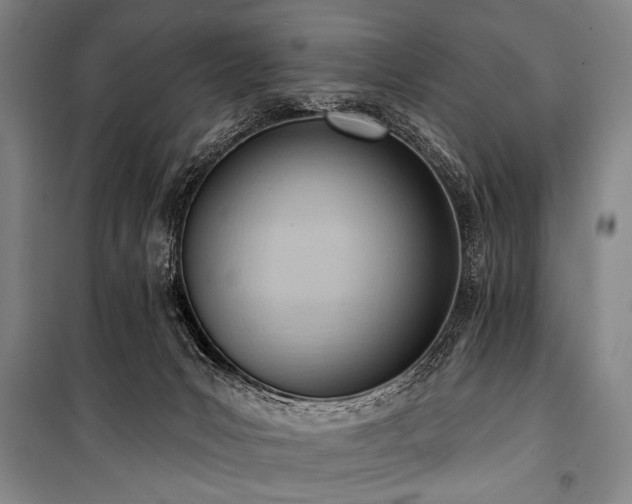 X0000101210031200806271426