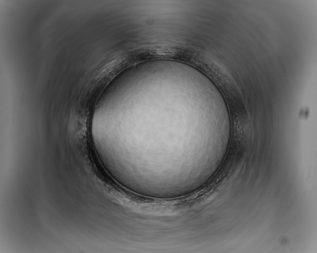 X0000101210032200806271425