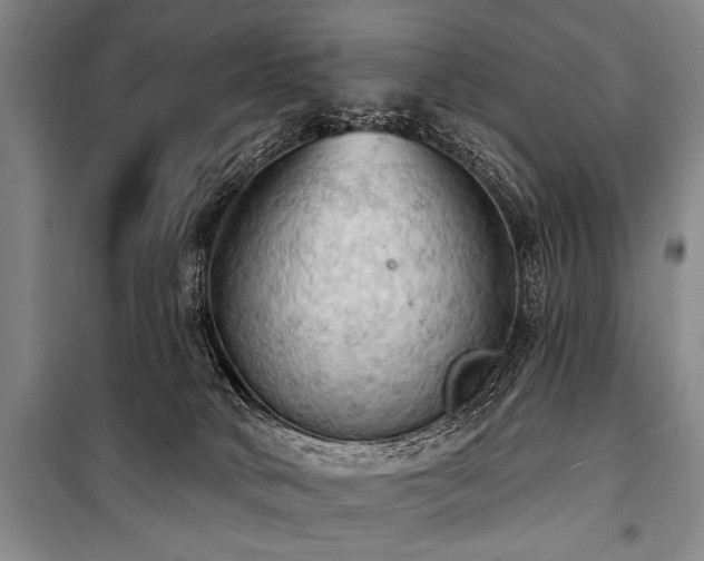 X0000101210034200806271425