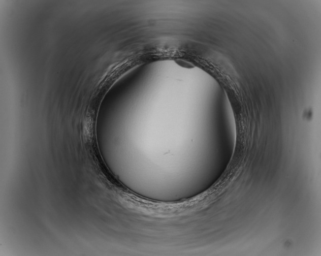 X0000101210035200806271425