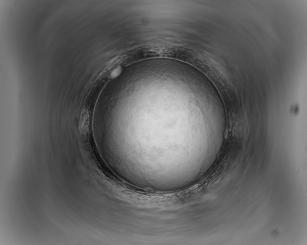 X0000101210036200806271425