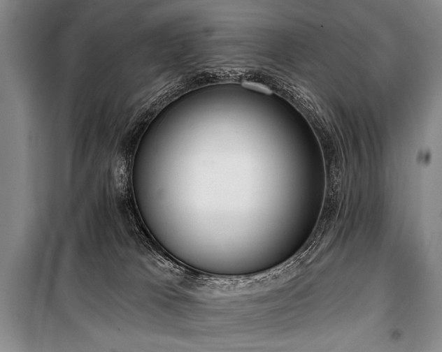 X0000101210037200806271425