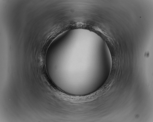 X0000101210039200806271425