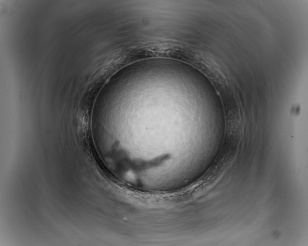 X0000101210040200806271425