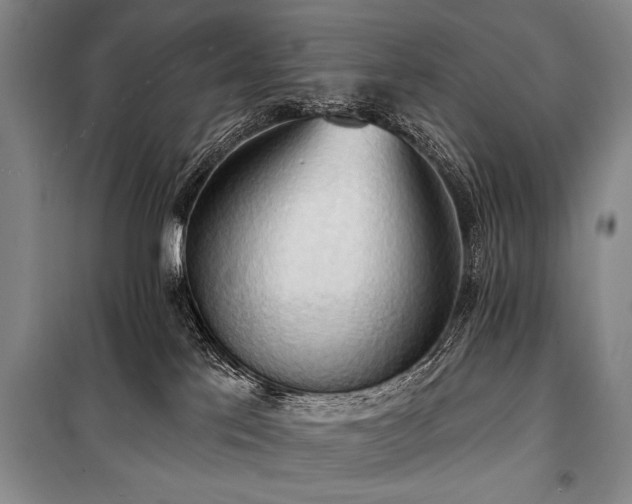 X0000101210041200806271425