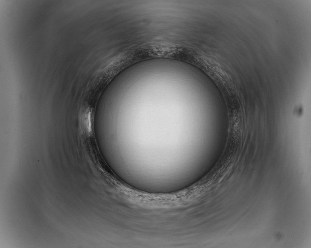 X0000101210042200806271425