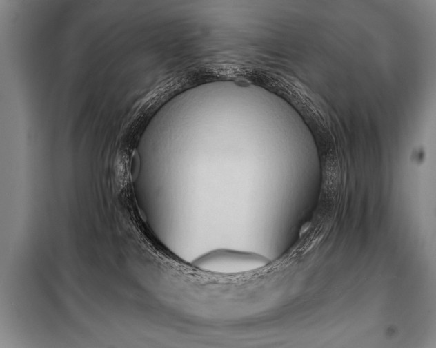 X0000101210043200806271425