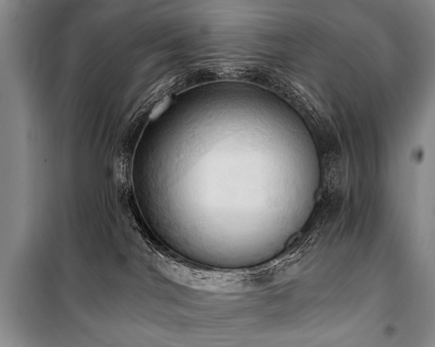 X0000101210044200806271425