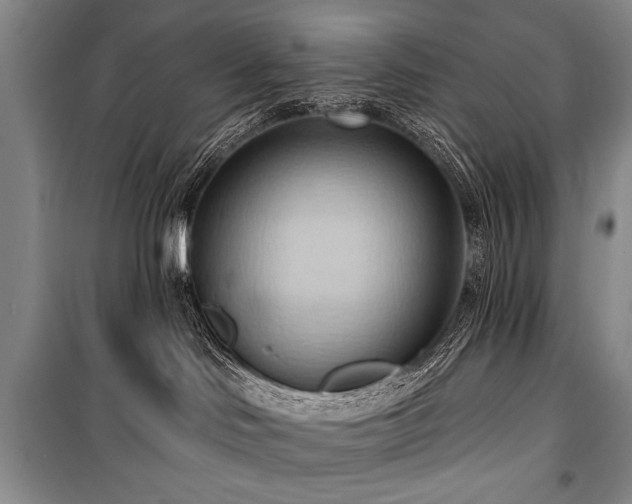 X0000101210046200806271425