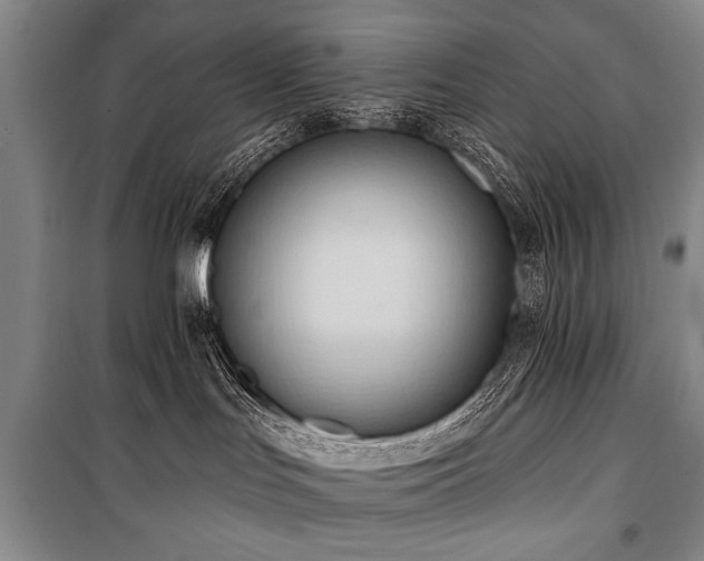 X0000101210047200806271425