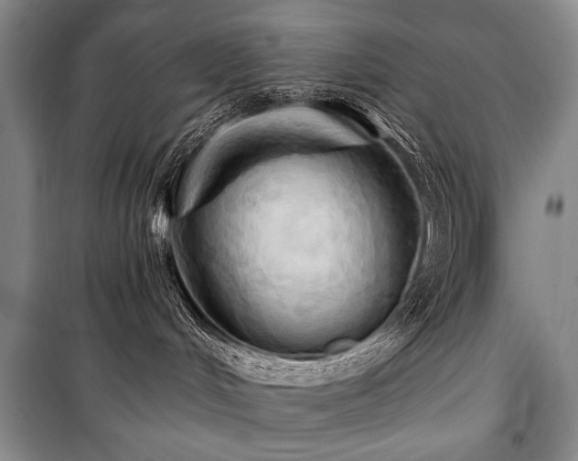 X0000101210048200806271425