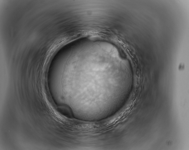 X0000101210049200806271425