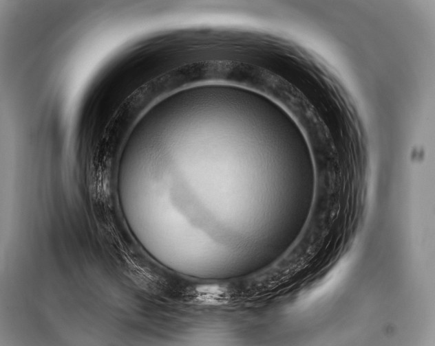 X0000101210050200806271425