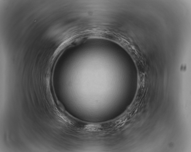 X0000101210051200806271425