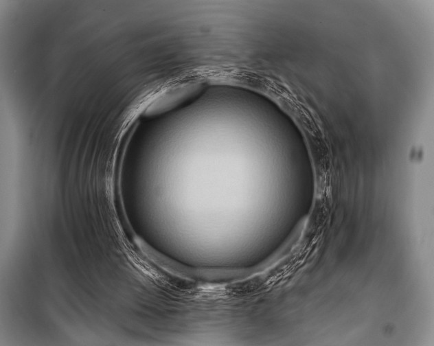 X0000101210052200806271425