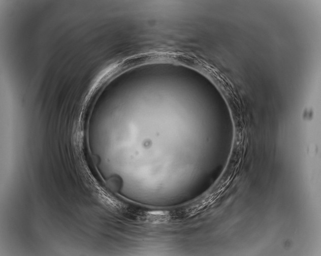 X0000101210053200806271425