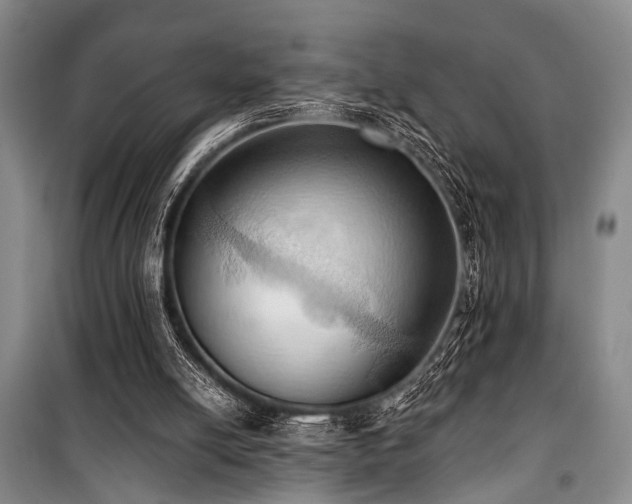 X0000101210054200806271425