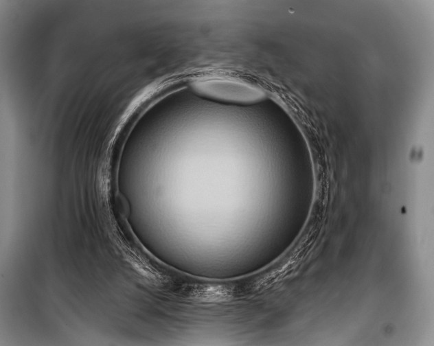 X0000101210056200806271425