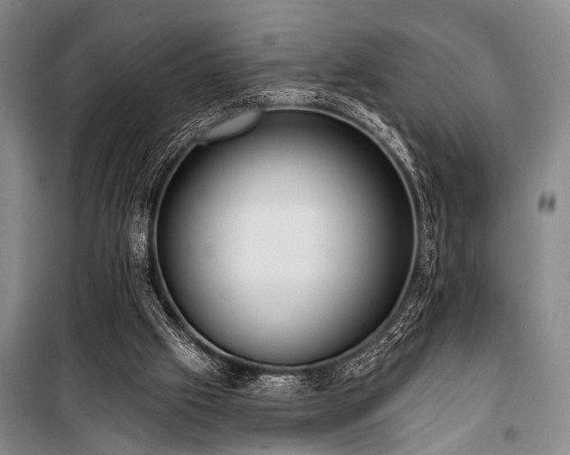 X0000101210057200806271425