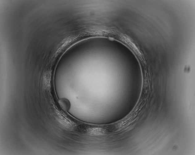 X0000101210058200806271425