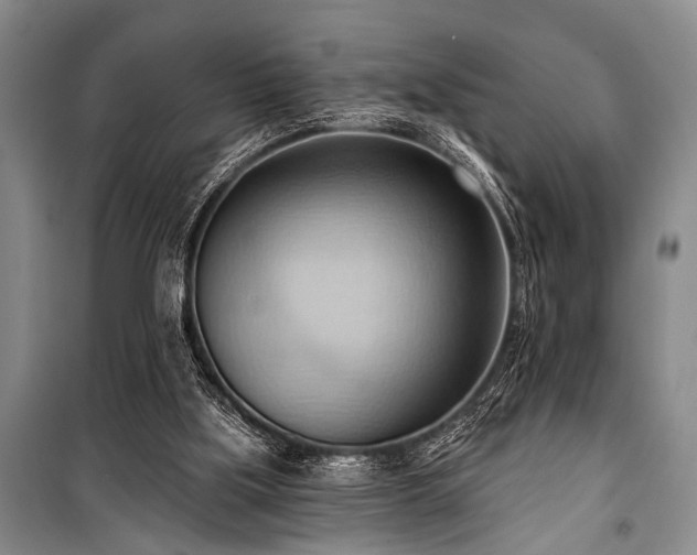 X0000101210059200806271425