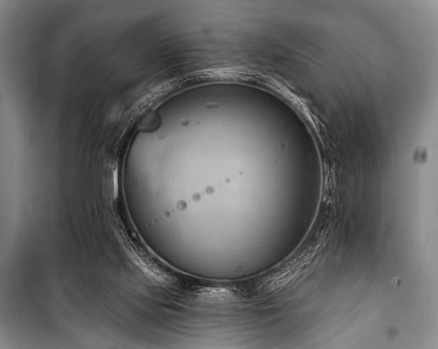 X0000101210061200806271425