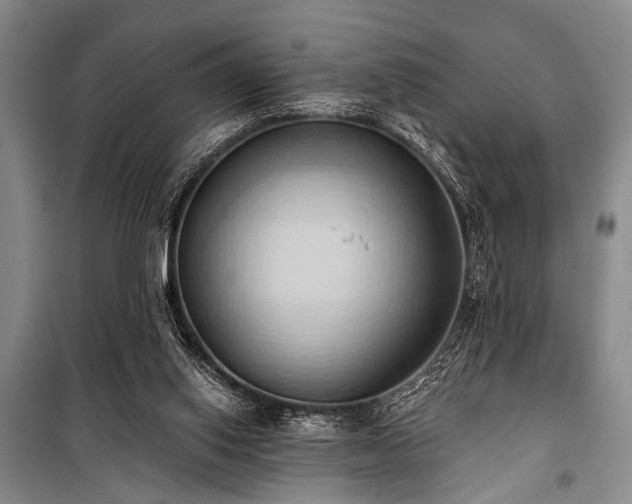 X0000101210062200806271425