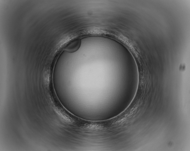 X0000101210063200806271425