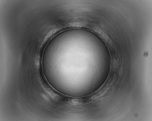 X0000101210064200806271425