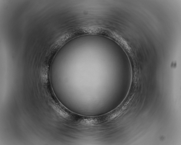 X0000101210065200806271425