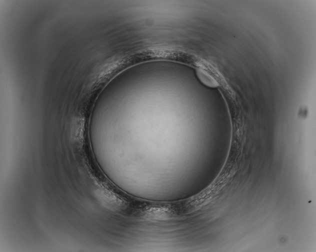 X0000101210066200806271425