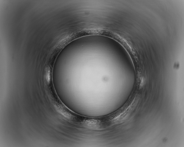 X0000101210069200806271425