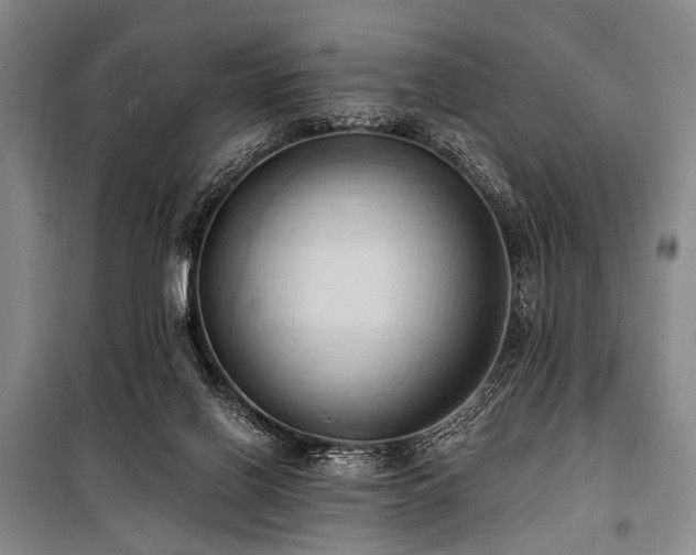 X0000101210070200806271425