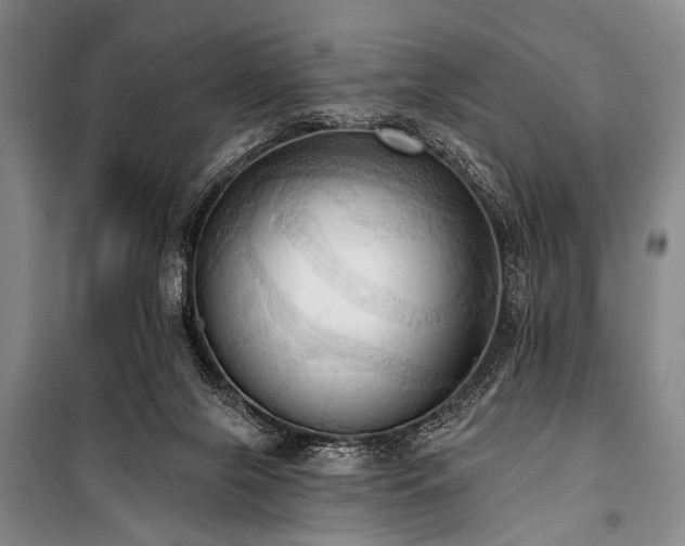 X0000101210071200806271425