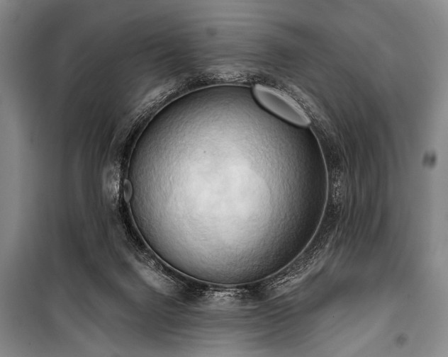 X0000101210072200806271425