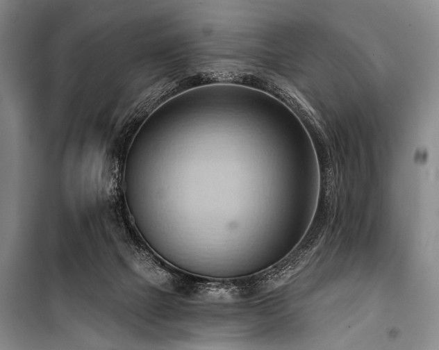 X0000101210073200806271425