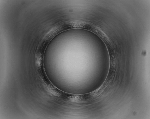 X0000101210074200806271425