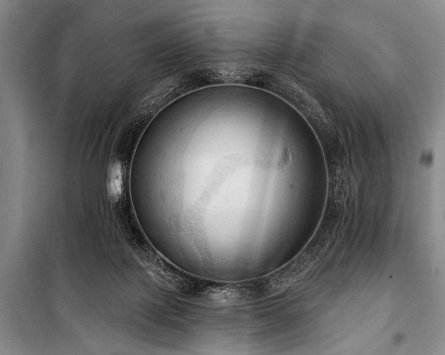 X0000101210075200806271425