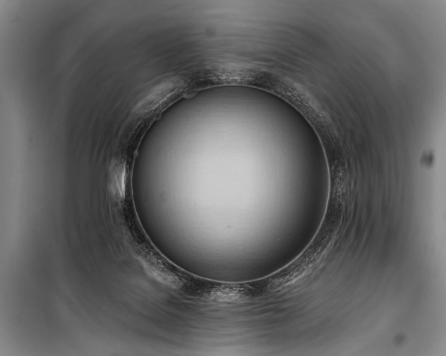 X0000101210076200806271425