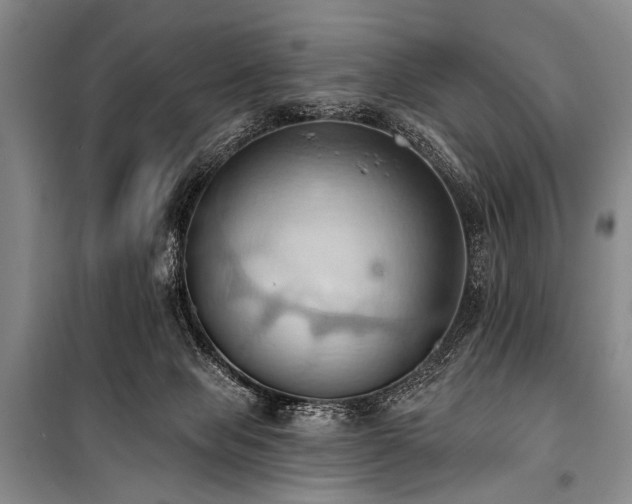 X0000101210077200806271425