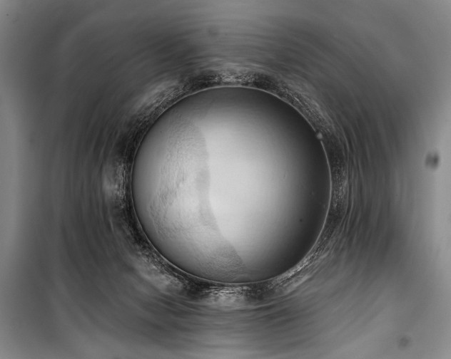 X0000101210078200806271425