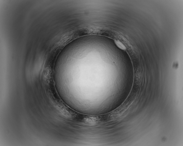 X0000101210079200806271425