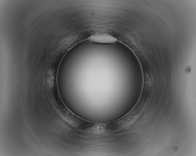 X0000101210080200806271425