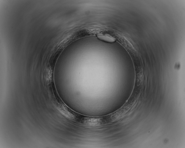 X0000101210081200806271425