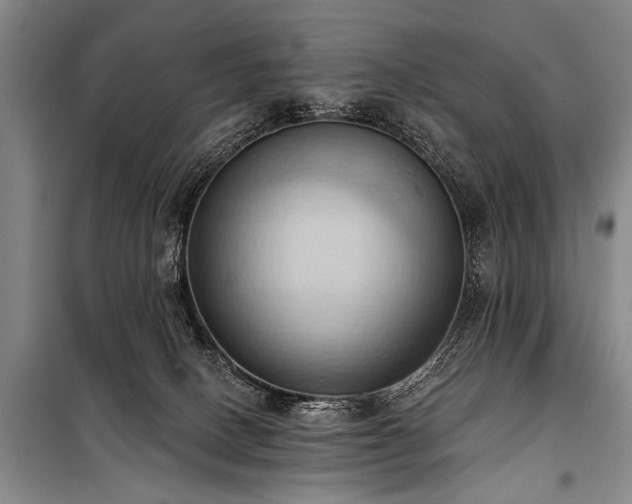 X0000101210082200806271425